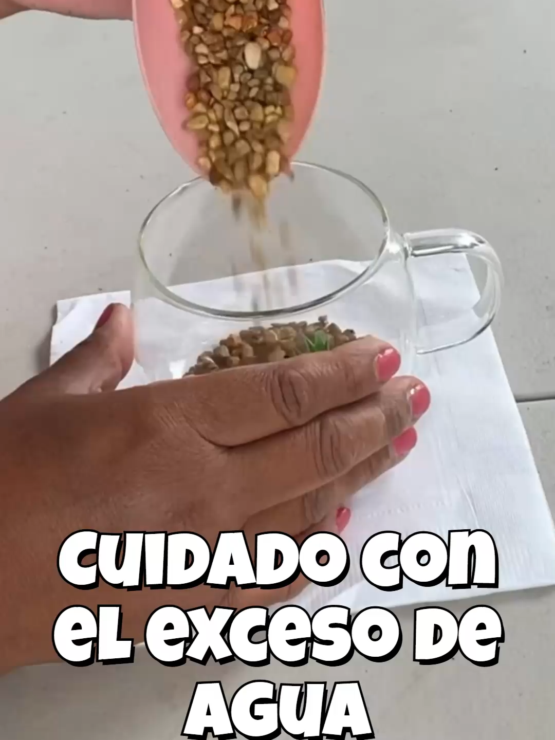 @Cactus y Suculentas