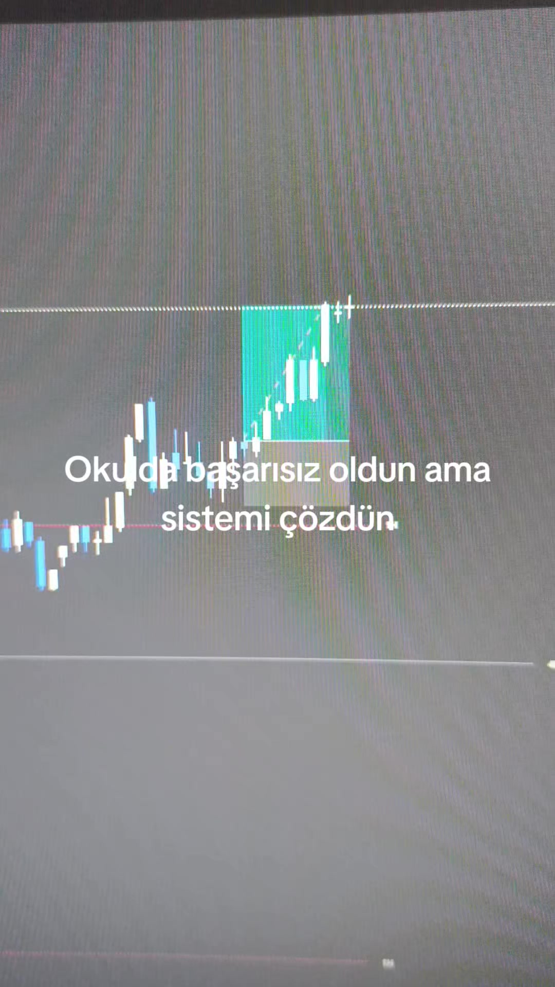 @Hasan 📈