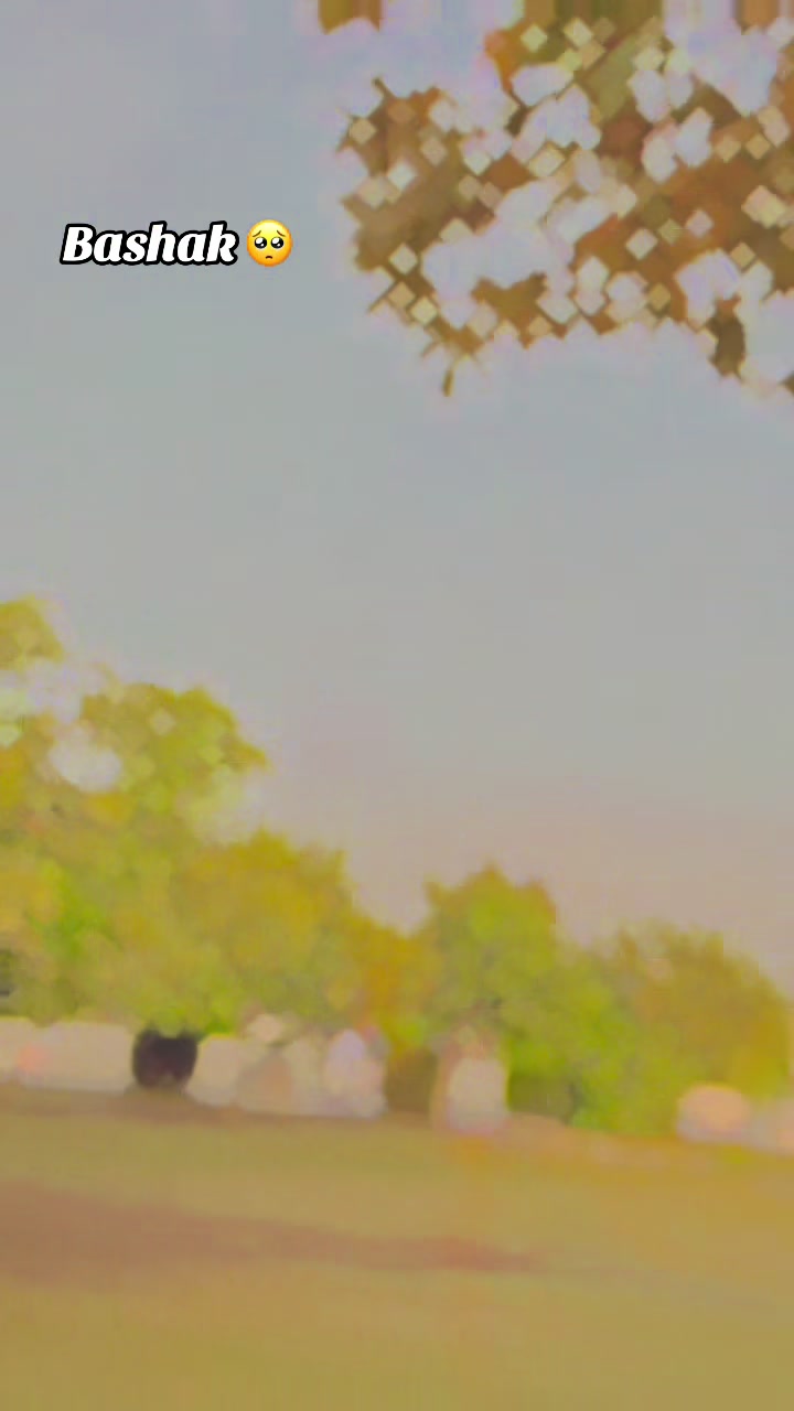 @احسن شیخ 🤍👀