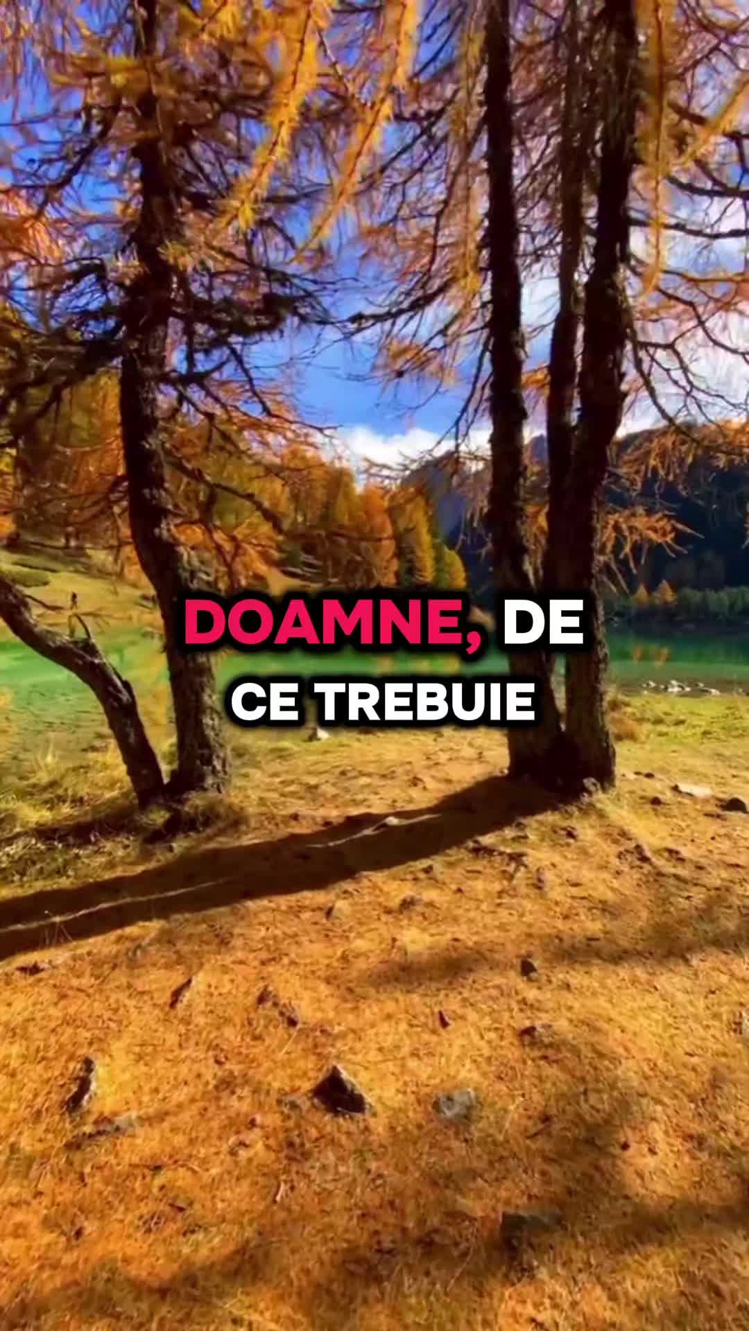@InimăFărăZiduri