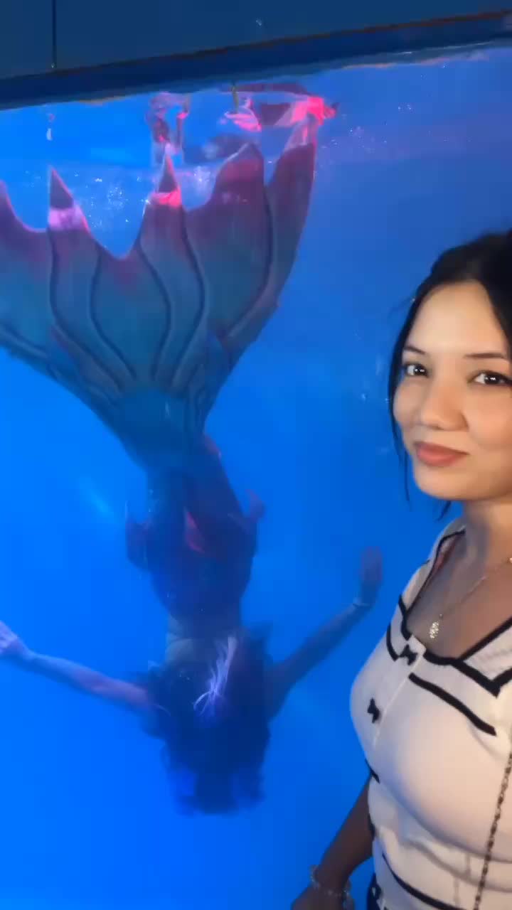 @Shilviya Kc 🌷🦢