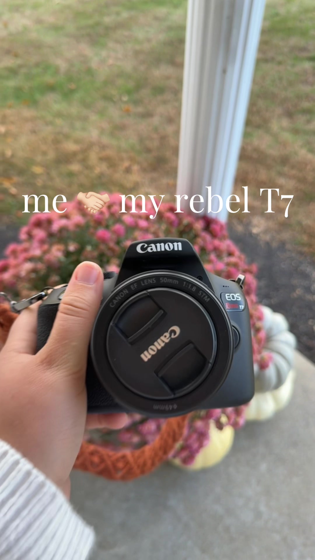 @Emily 🌷🧺🪿