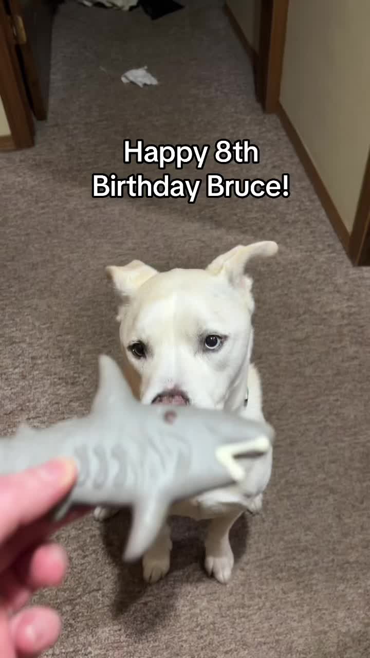 @Michelle, Bruce & Kuzco