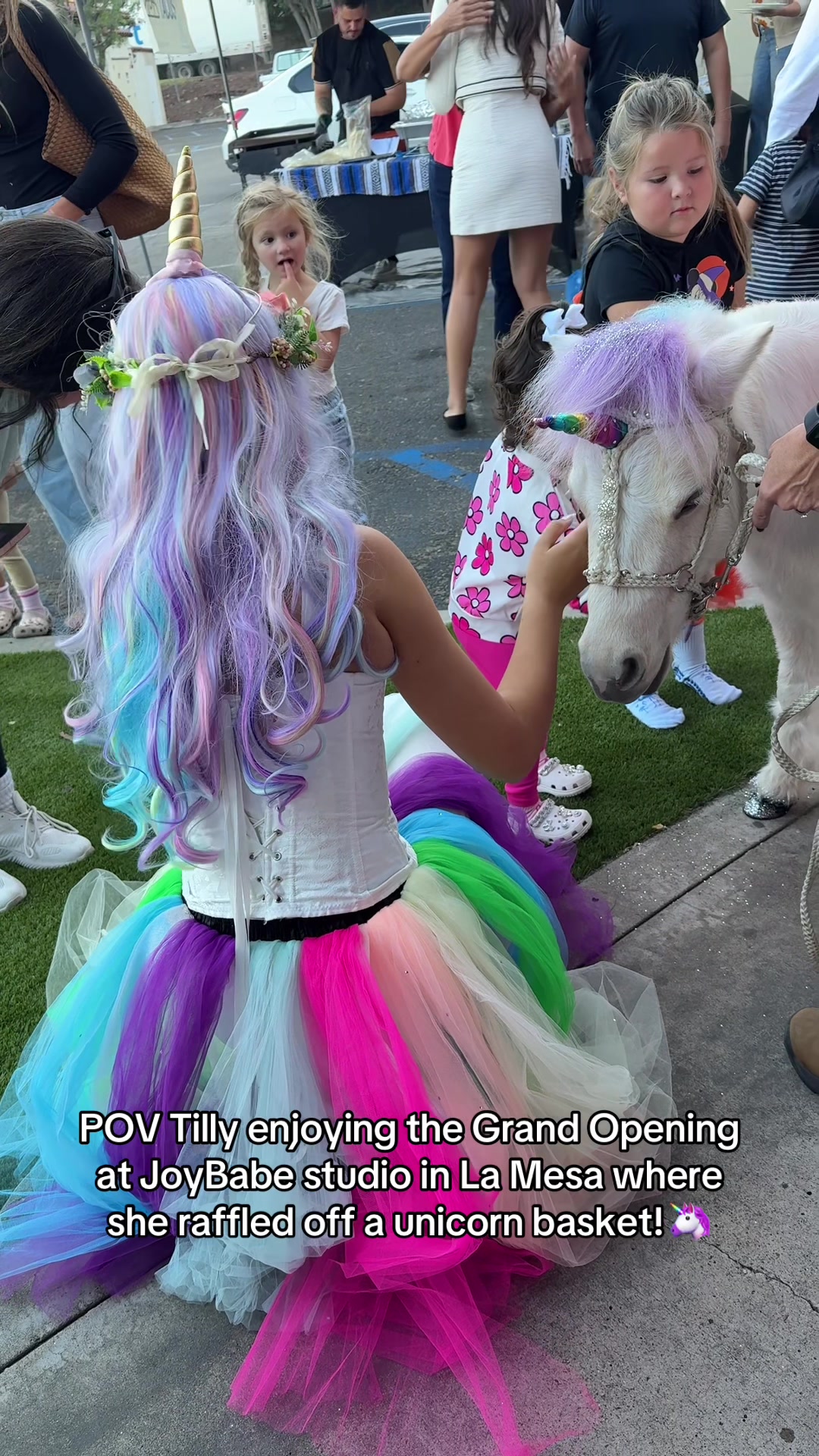 @The Posh Unicorn