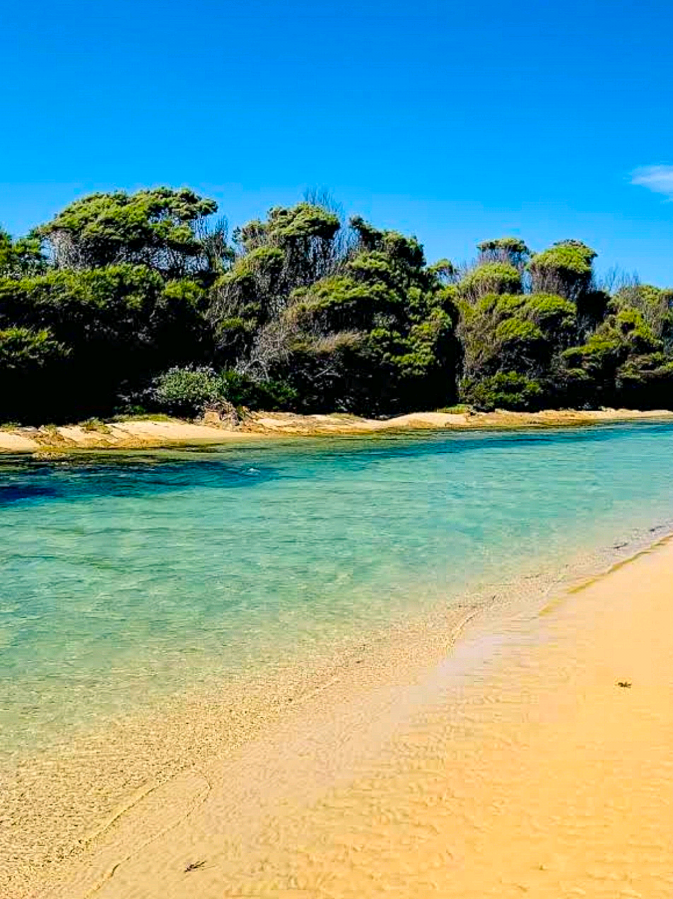 @Nature Love Australia 🌴