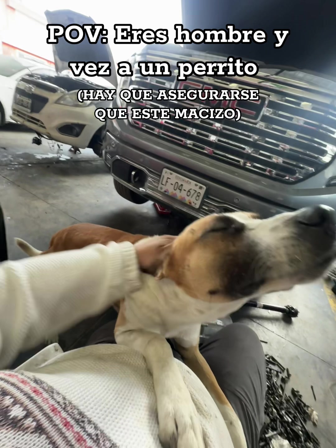 @Frediño_racing