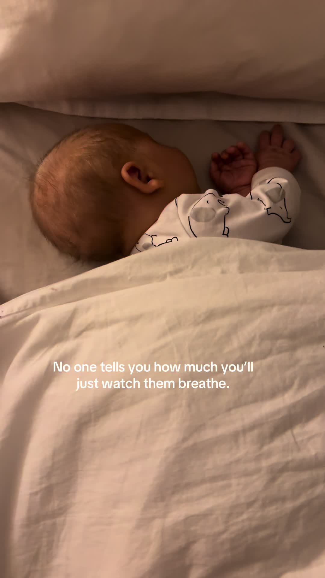 @Delilah Pusch