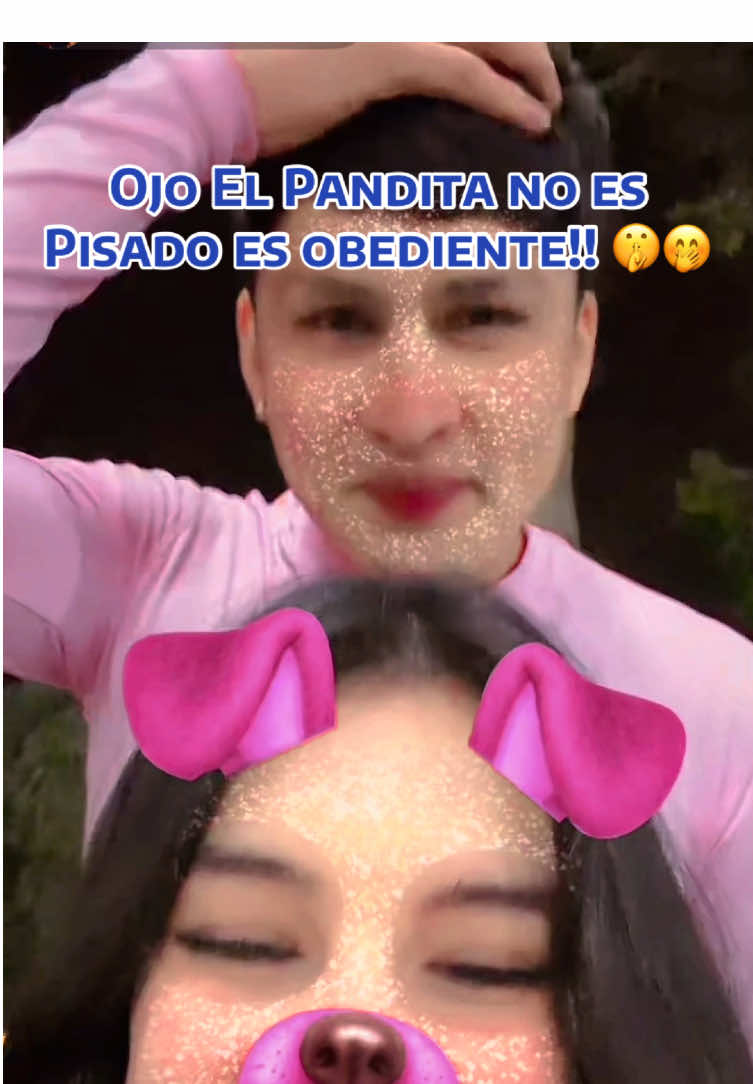 @𝙋𝙖𝙣𝙙𝙖ᶜˡⁱᵖˢ 🐼⃤