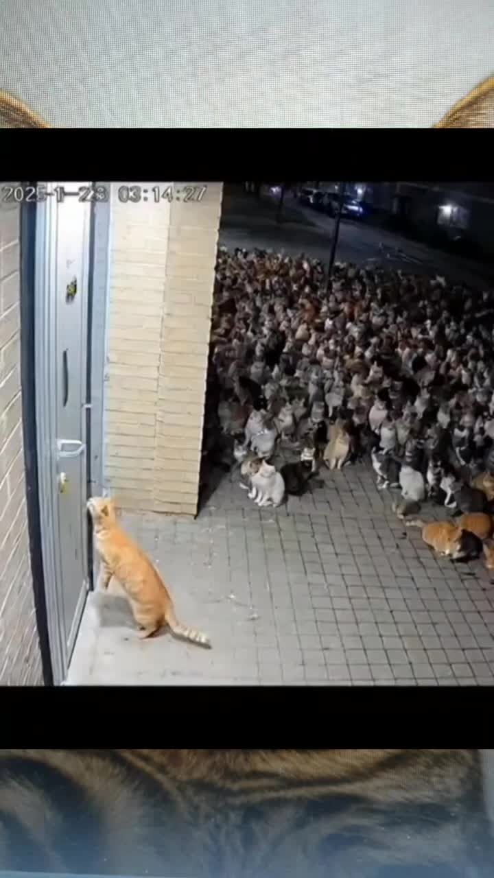 @올싱나야