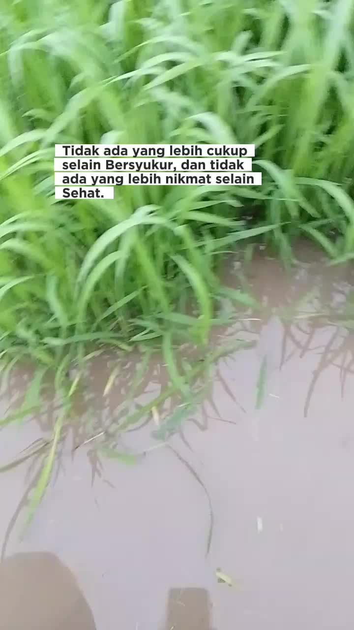 @kencengkendor