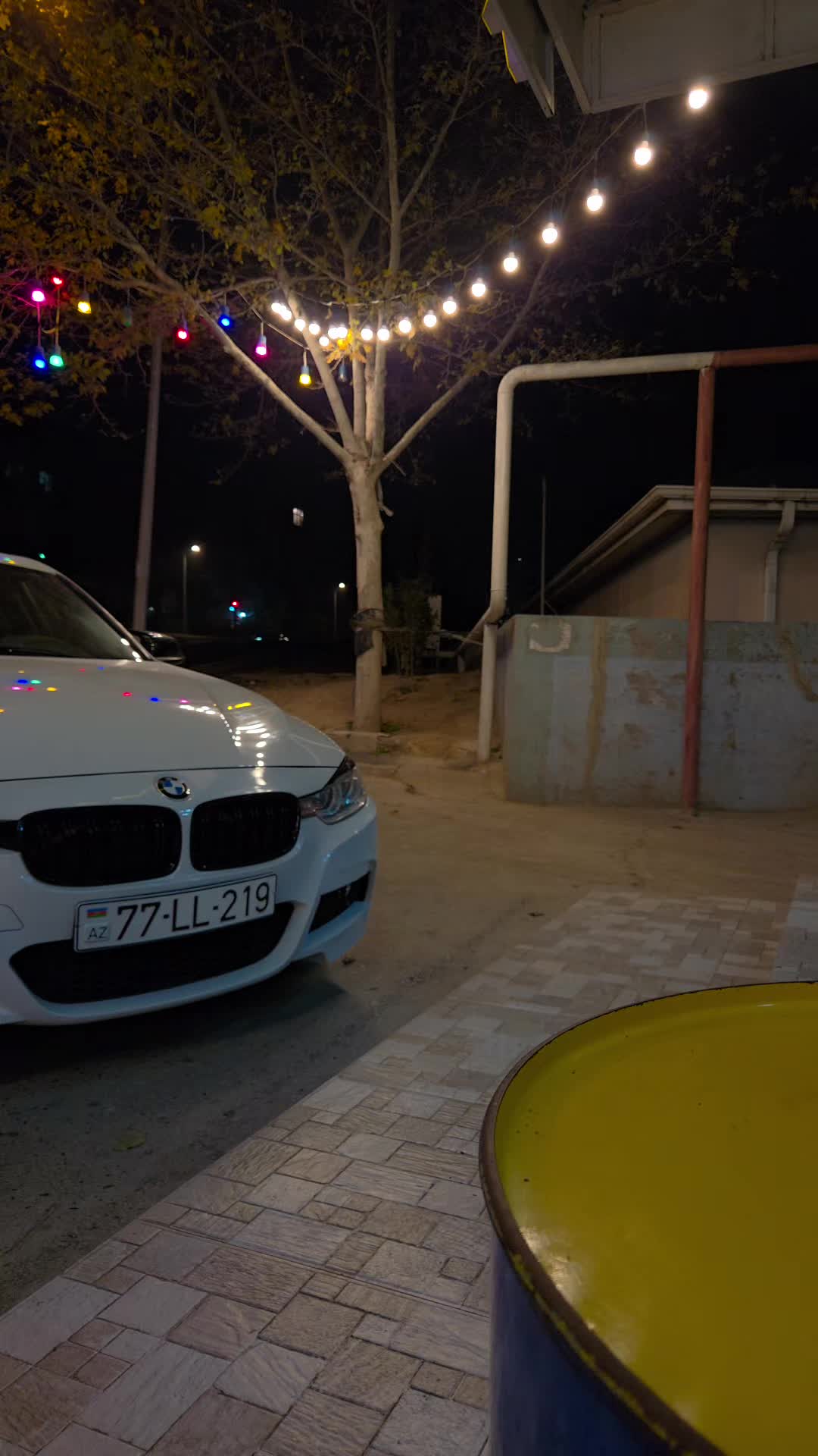 @77-LL-219