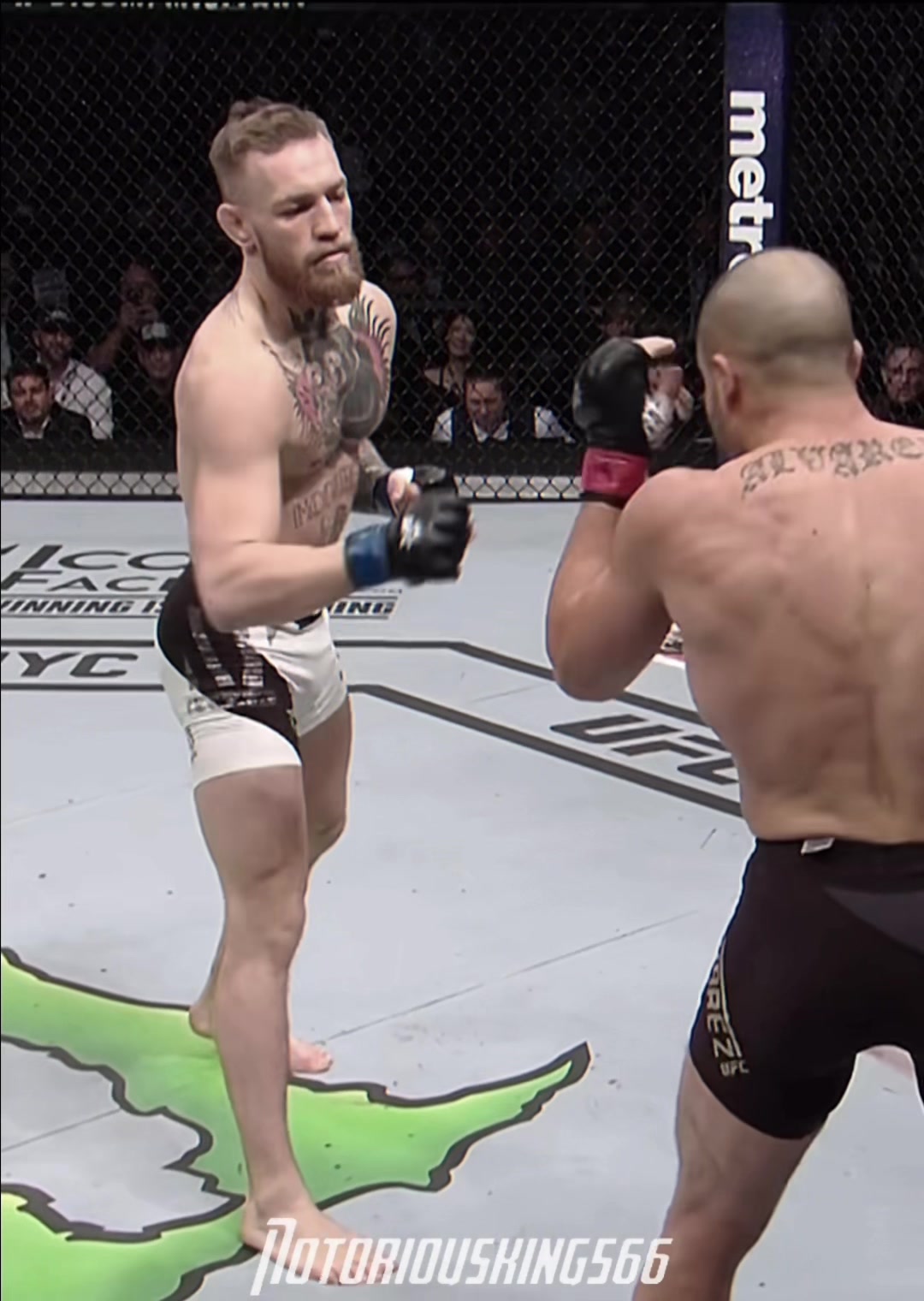 @Conor Mcgregor