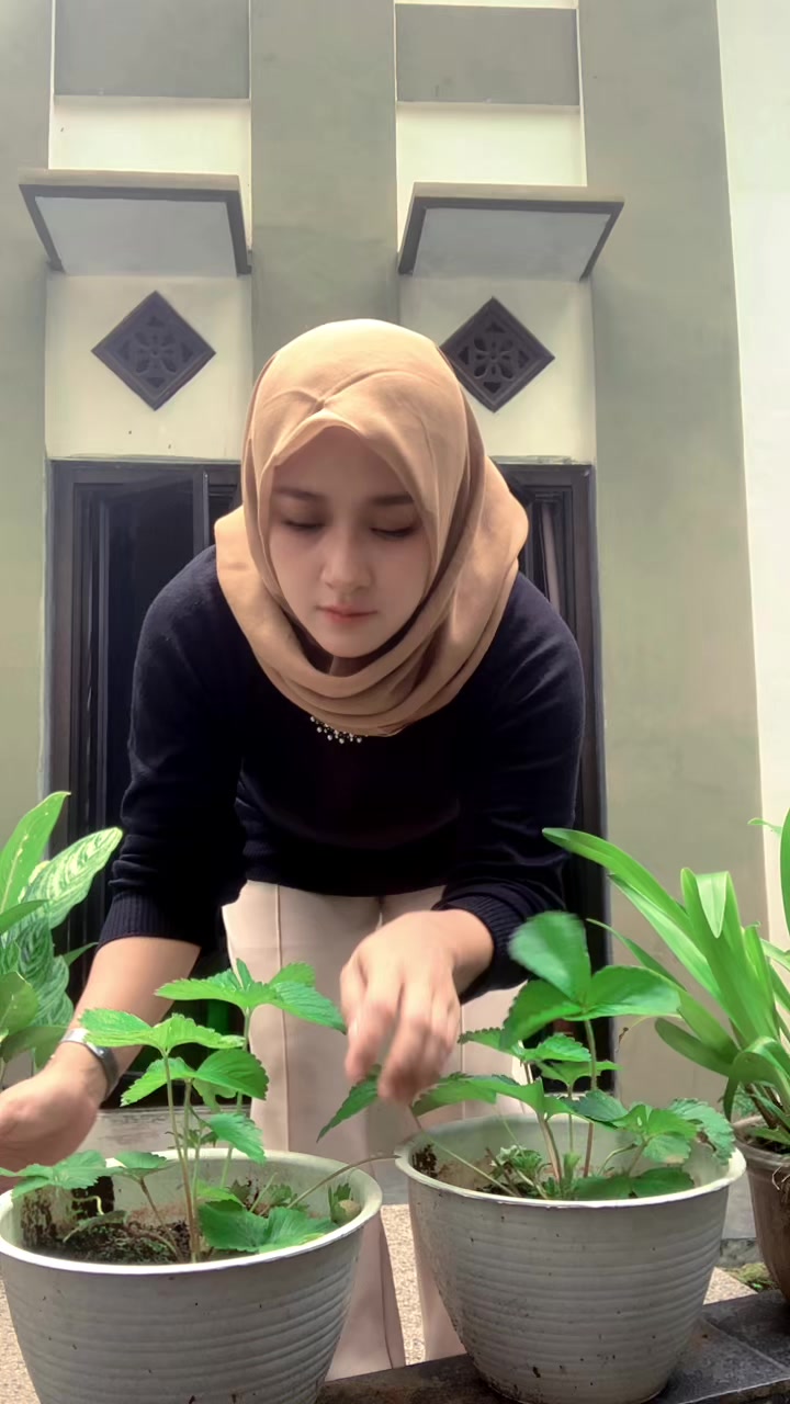 @Mahluk Tuhan