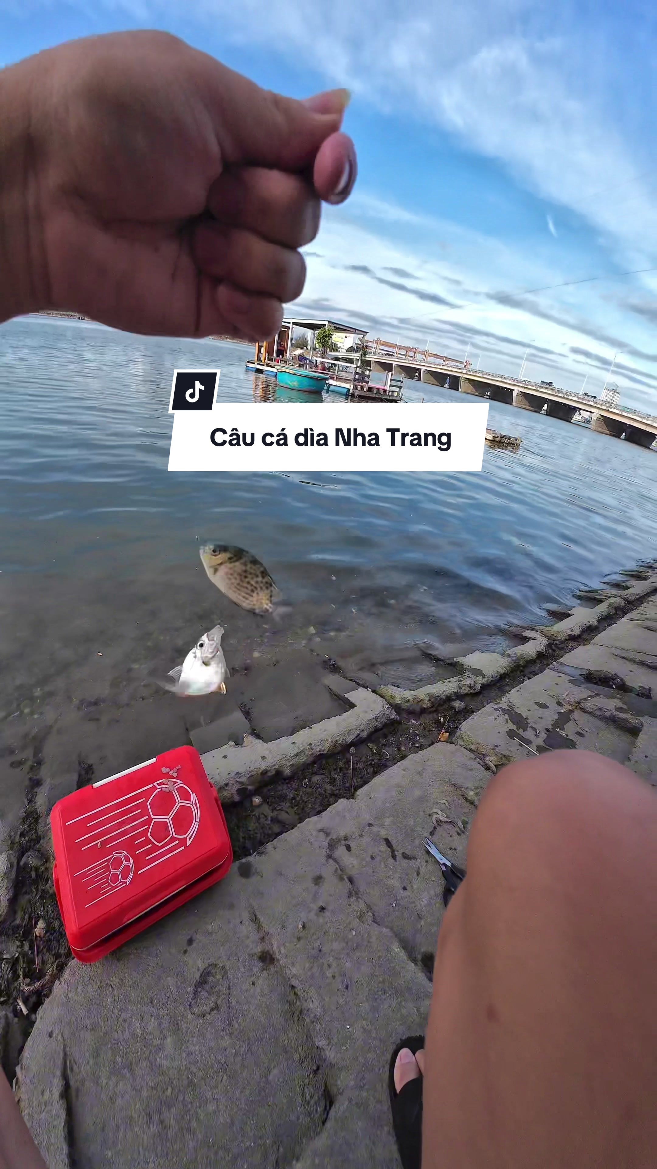 @Duy Tour C&acirc;u C&aacute; C&acirc;u Mực NTrang