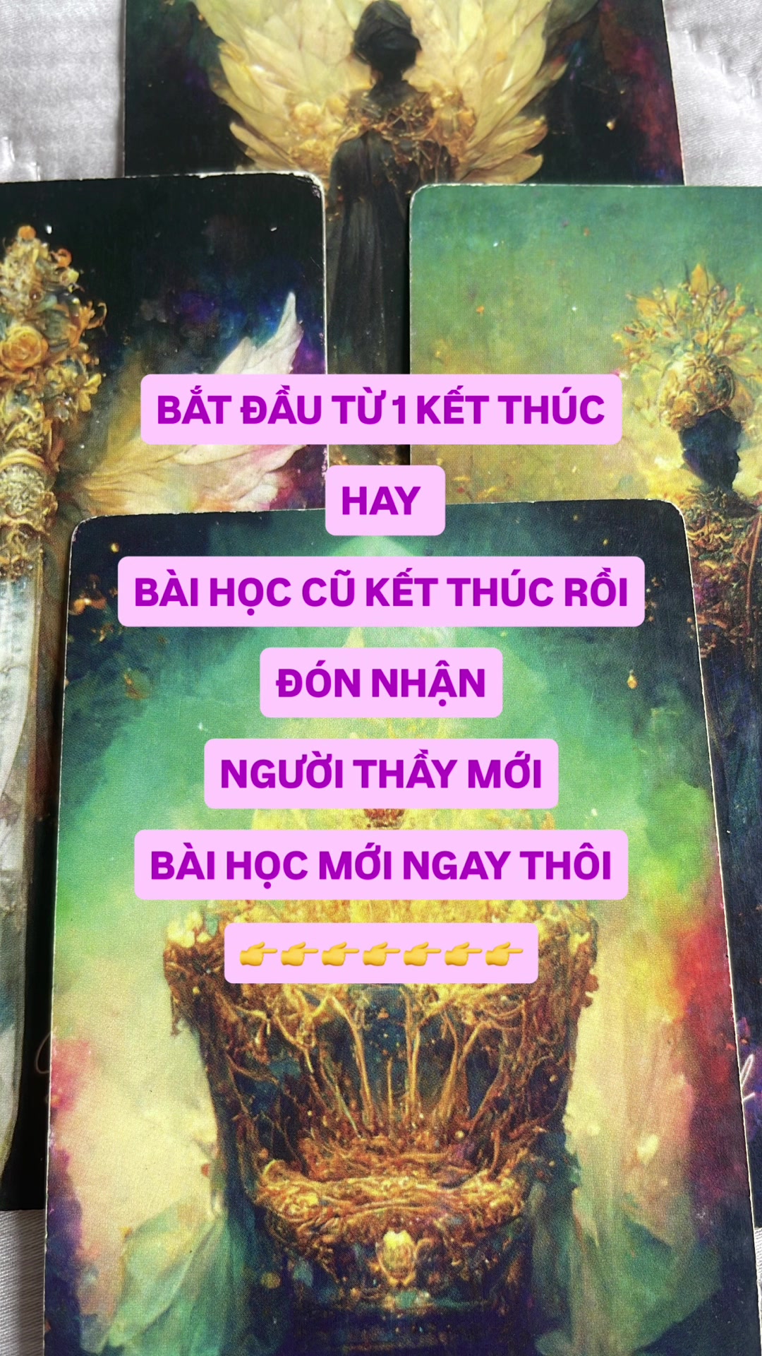 @Vẫn l&agrave; Kimiitarot 689
