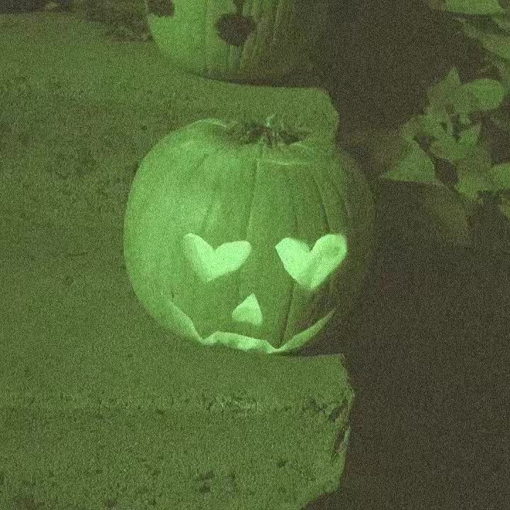 @Boo Bug 👻🎃