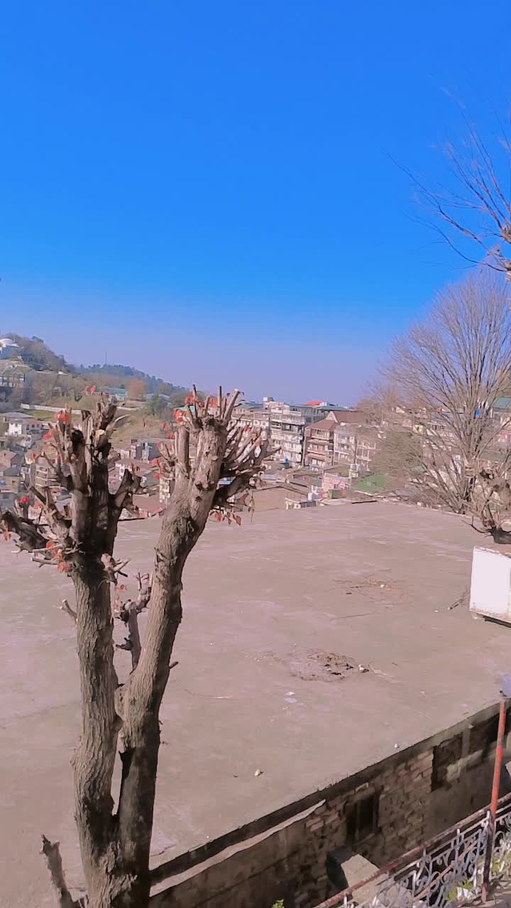 @Shahzaib Shanshah