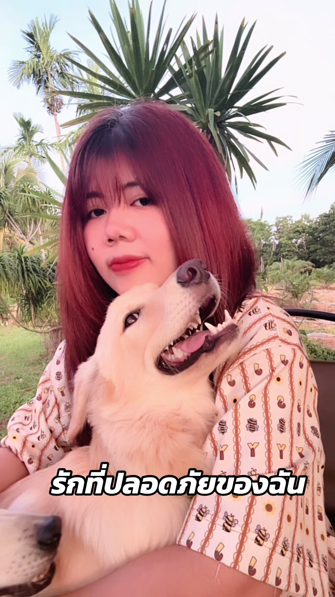@beam_ntppk