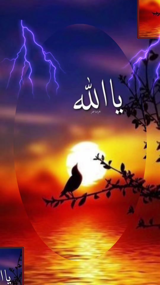 @Ferdows Ahmedi