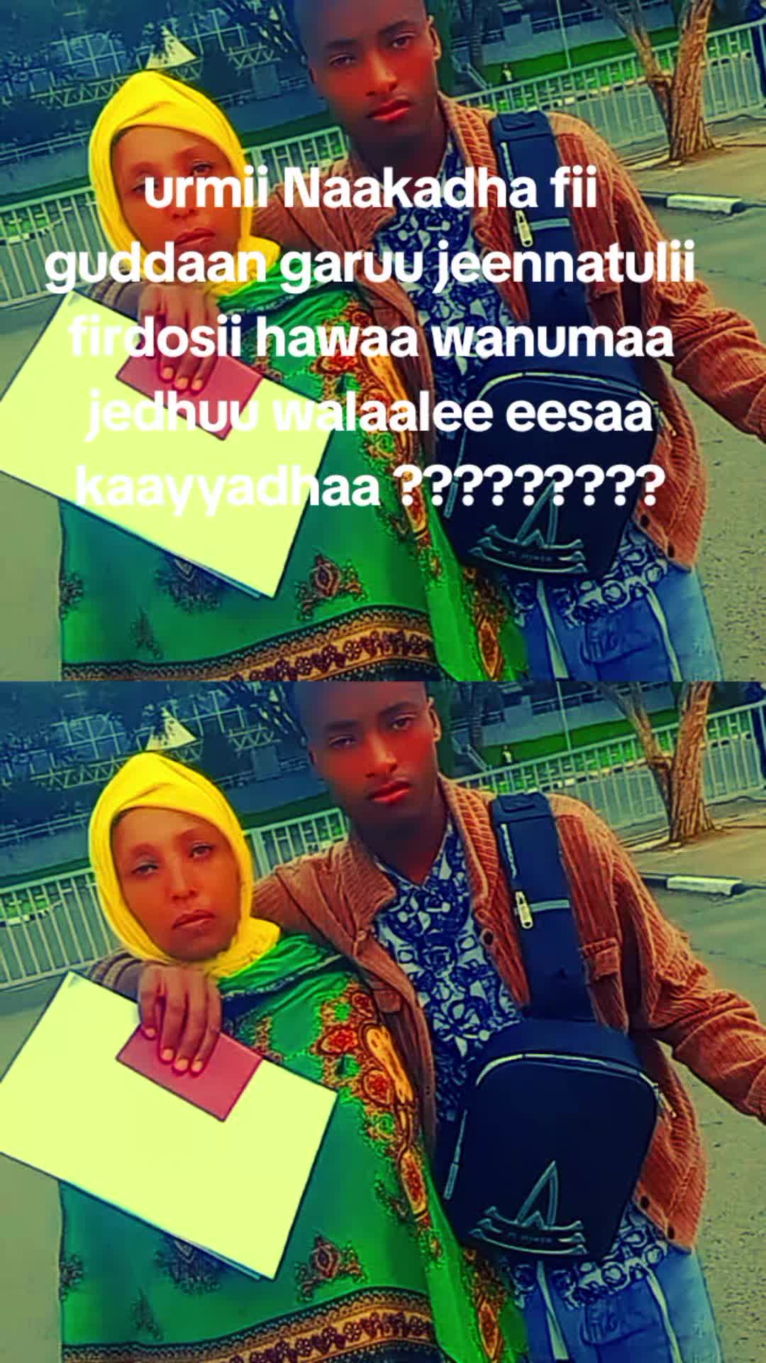 @dachaasaBariso