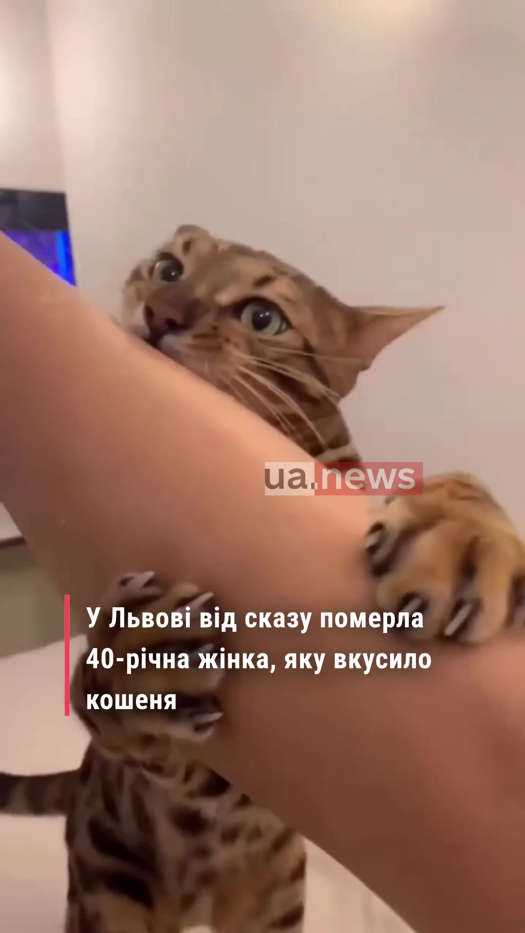 @UA.NEWS