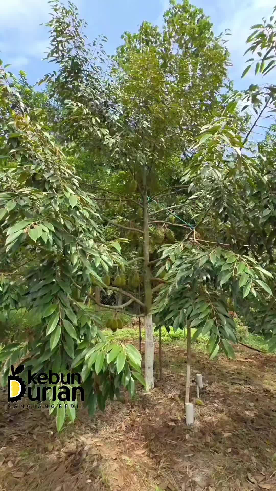 @WIN 22
