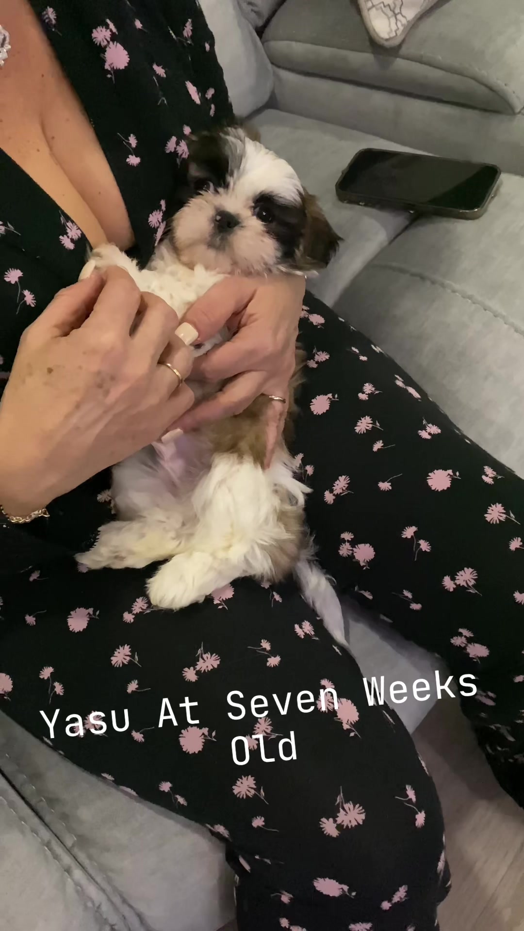 @YasuThings