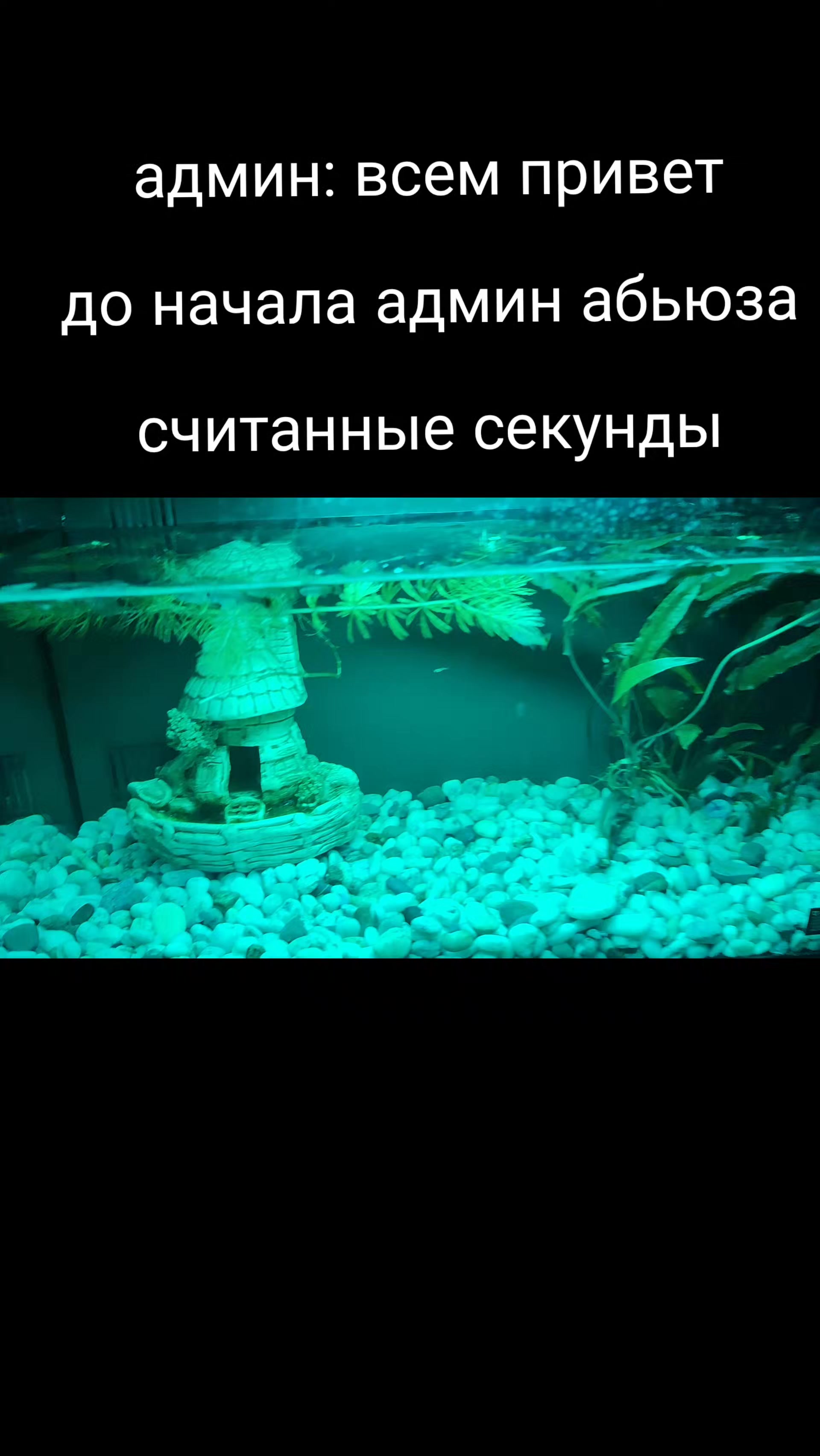 @🦺столичный демих🚆