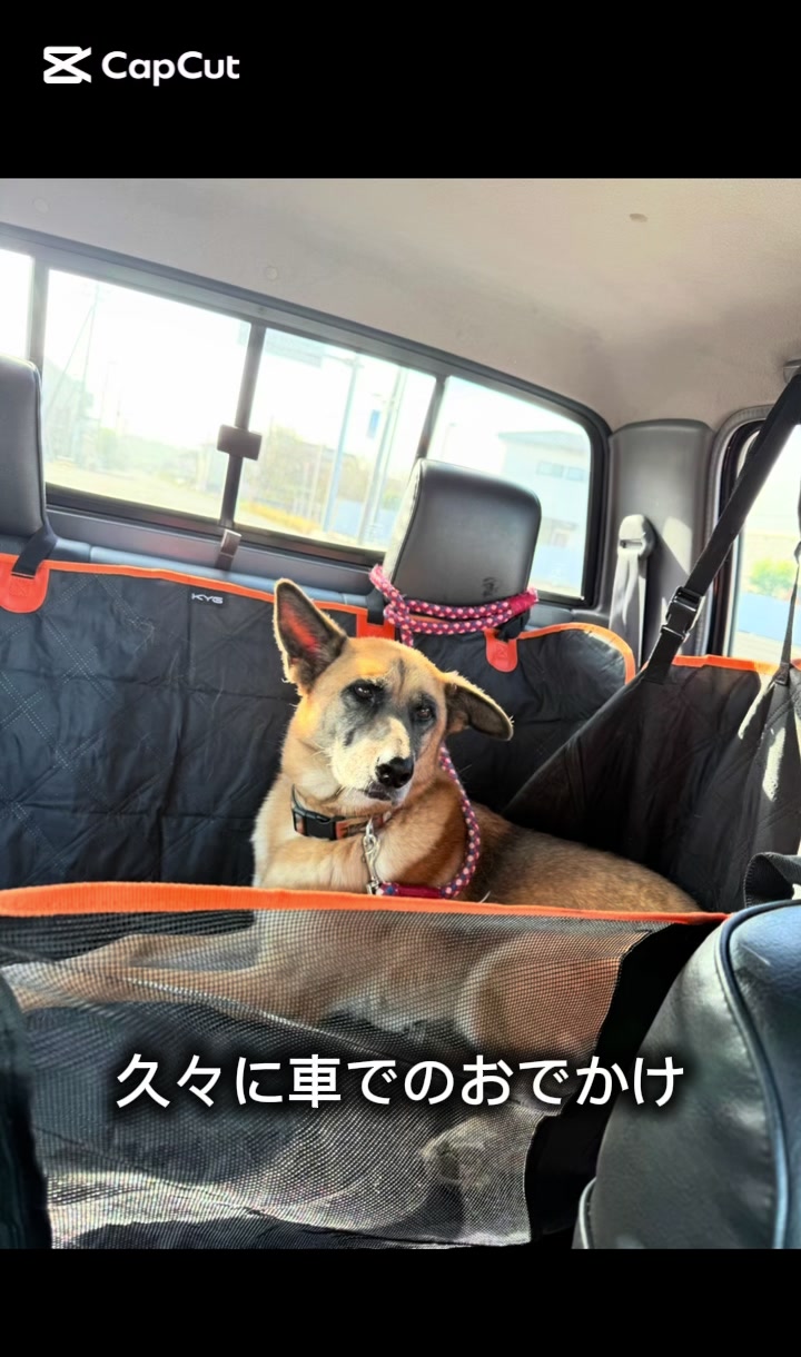 @りんりん
