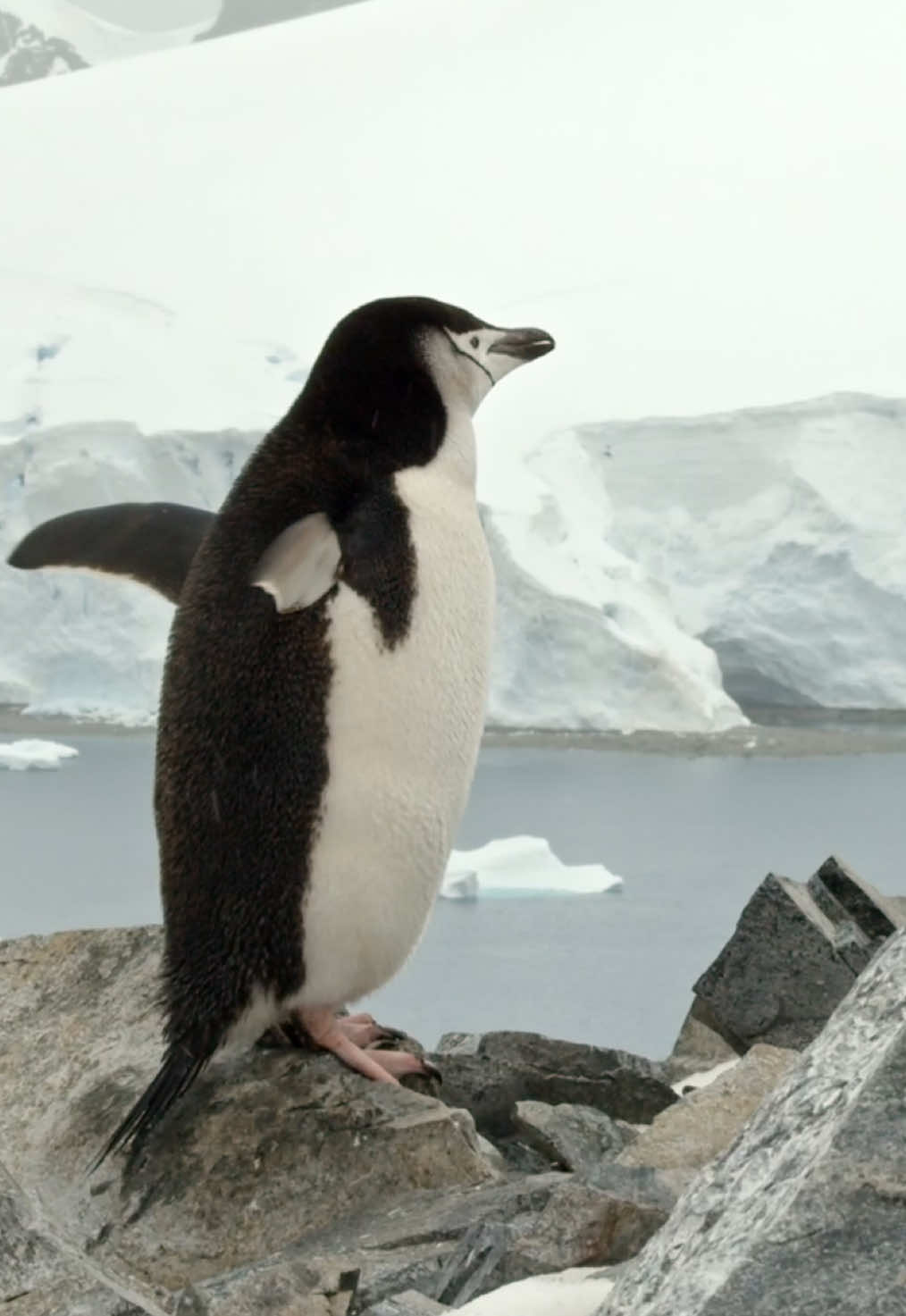 @Kai Meyer | Wildlife Filmmaker