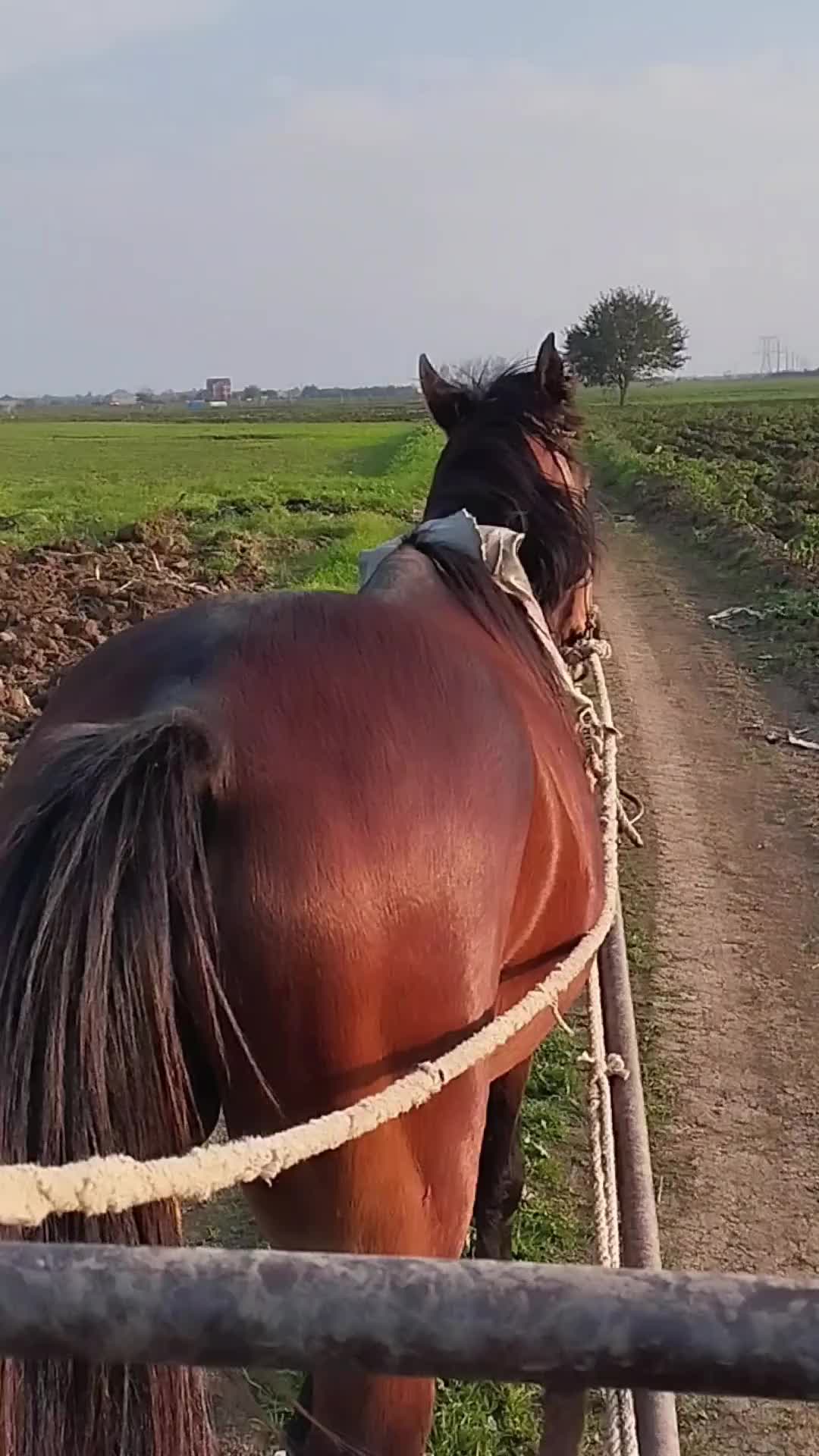 @İsmayıl_749