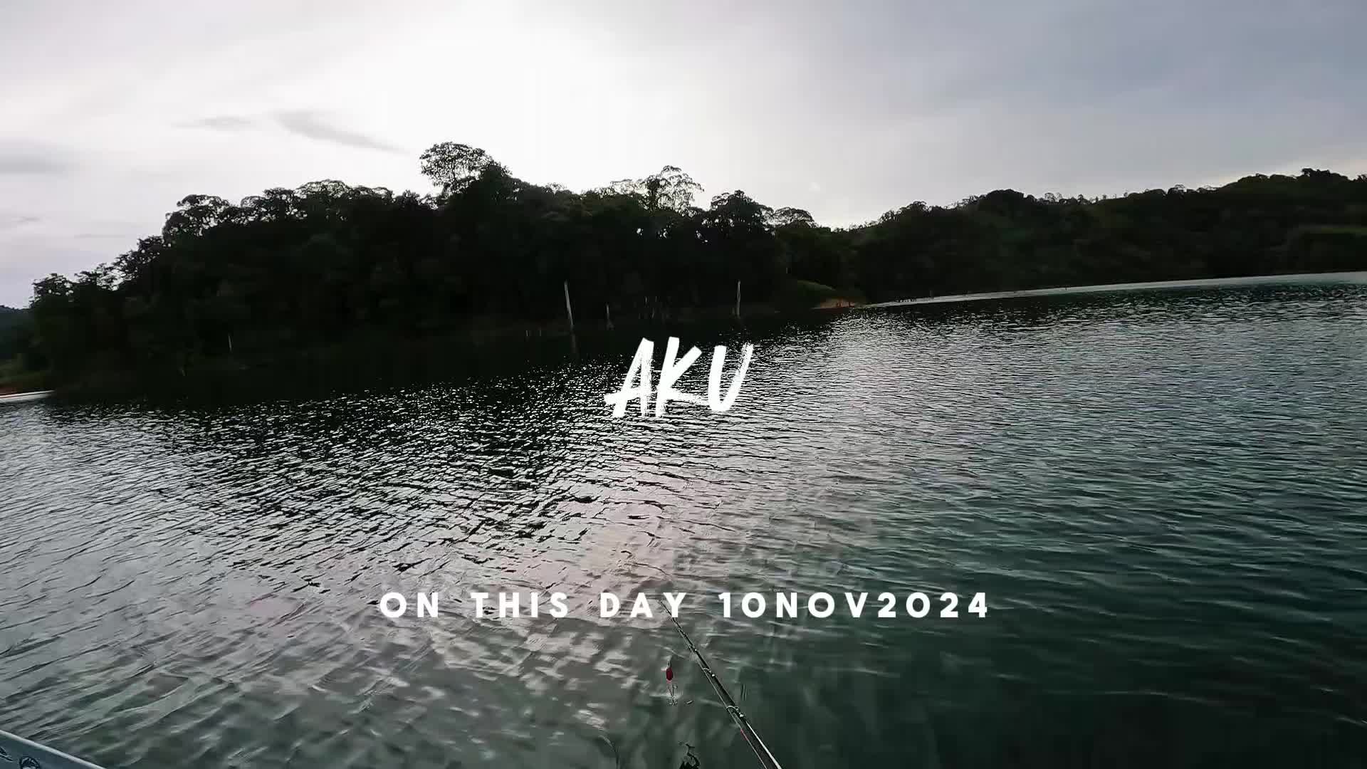 @Damz Strike Fishing