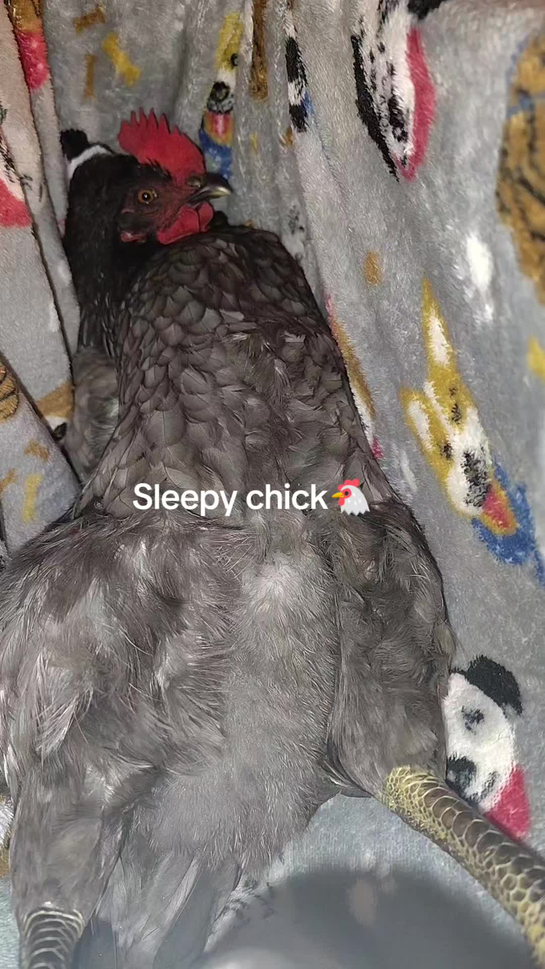 @𓇼Madzzz𓆉