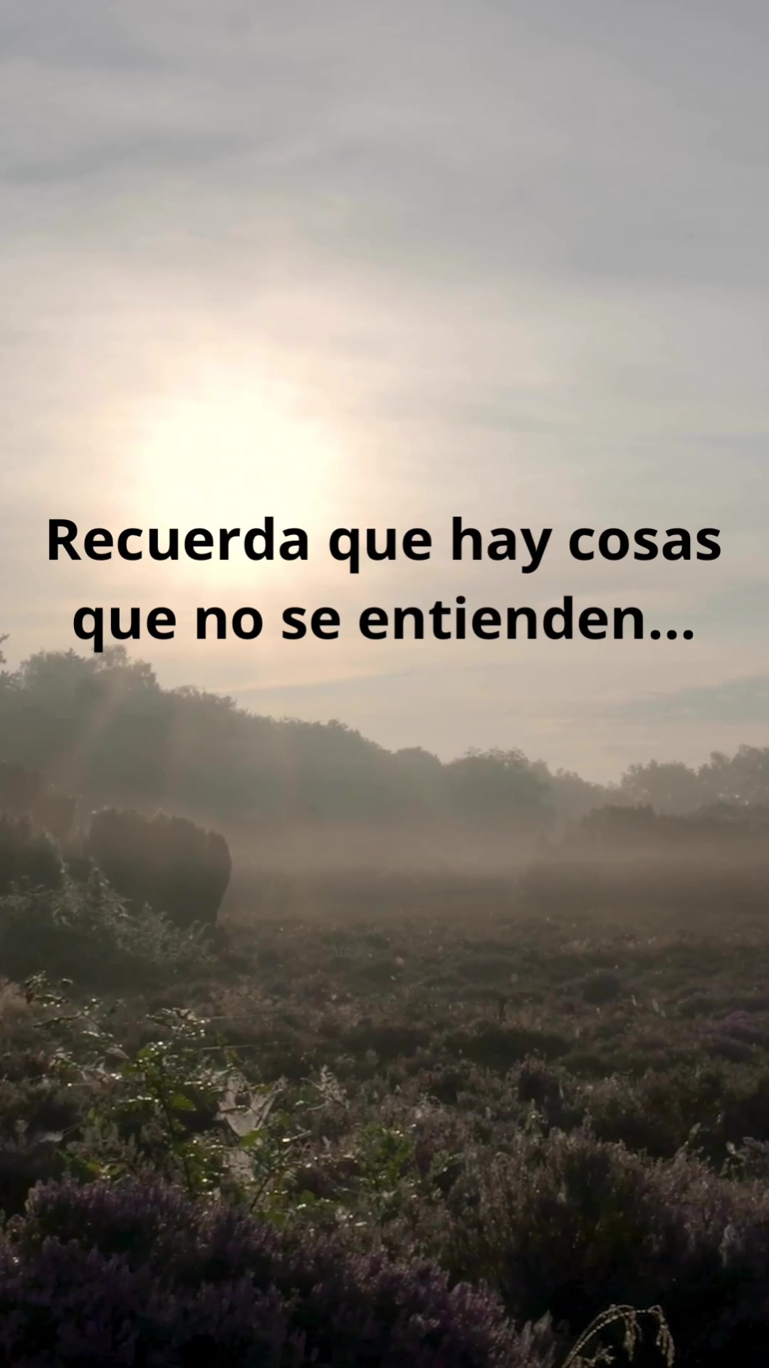 @Misi&oacute;n Dymphna