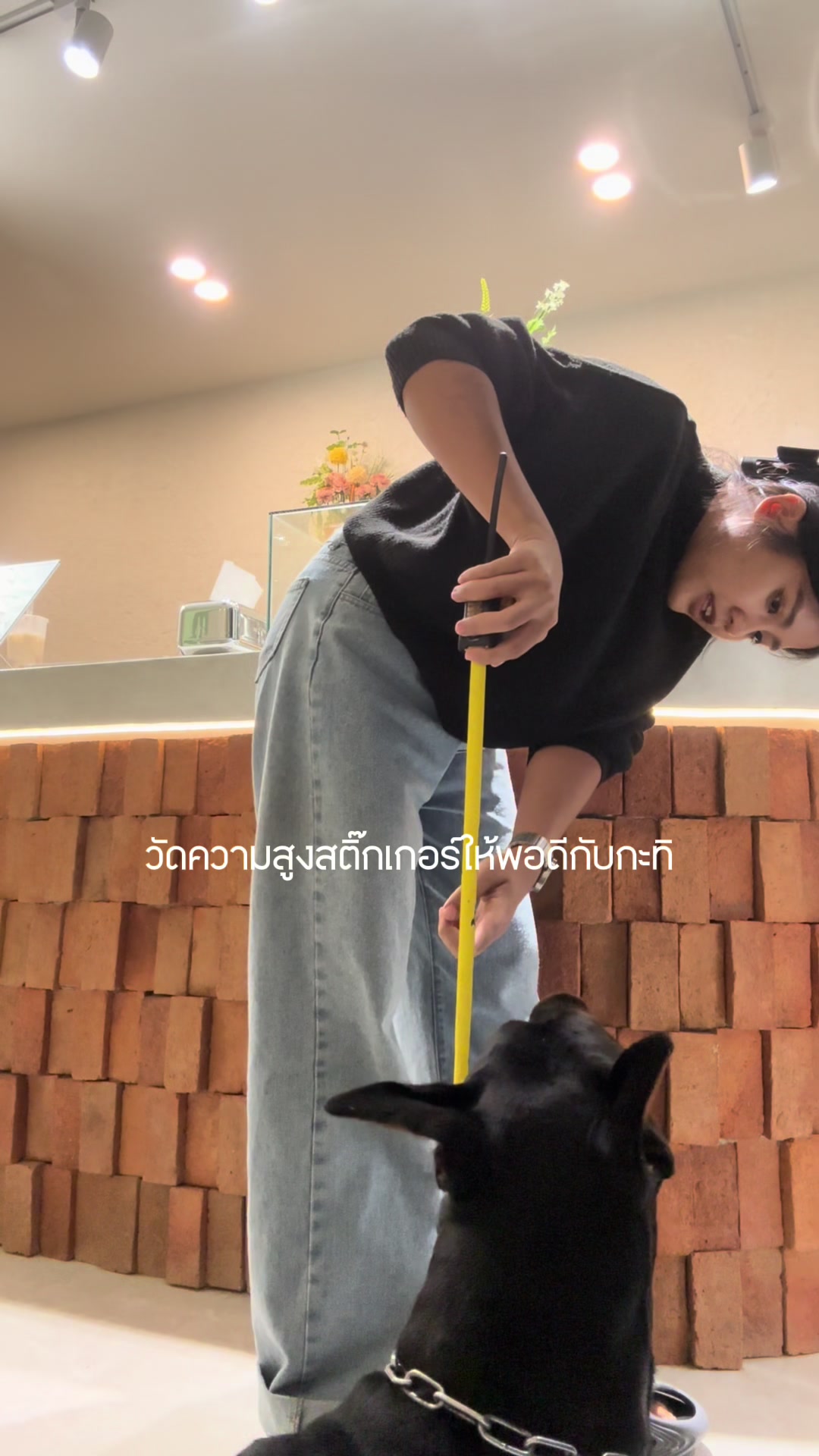@กะทิกับพิคอง
