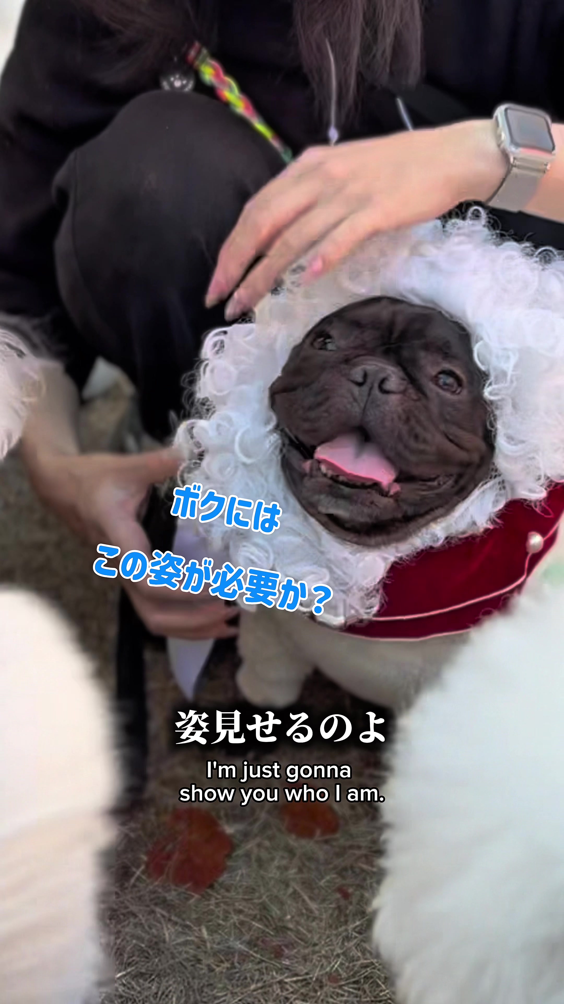 @コロン🐶
