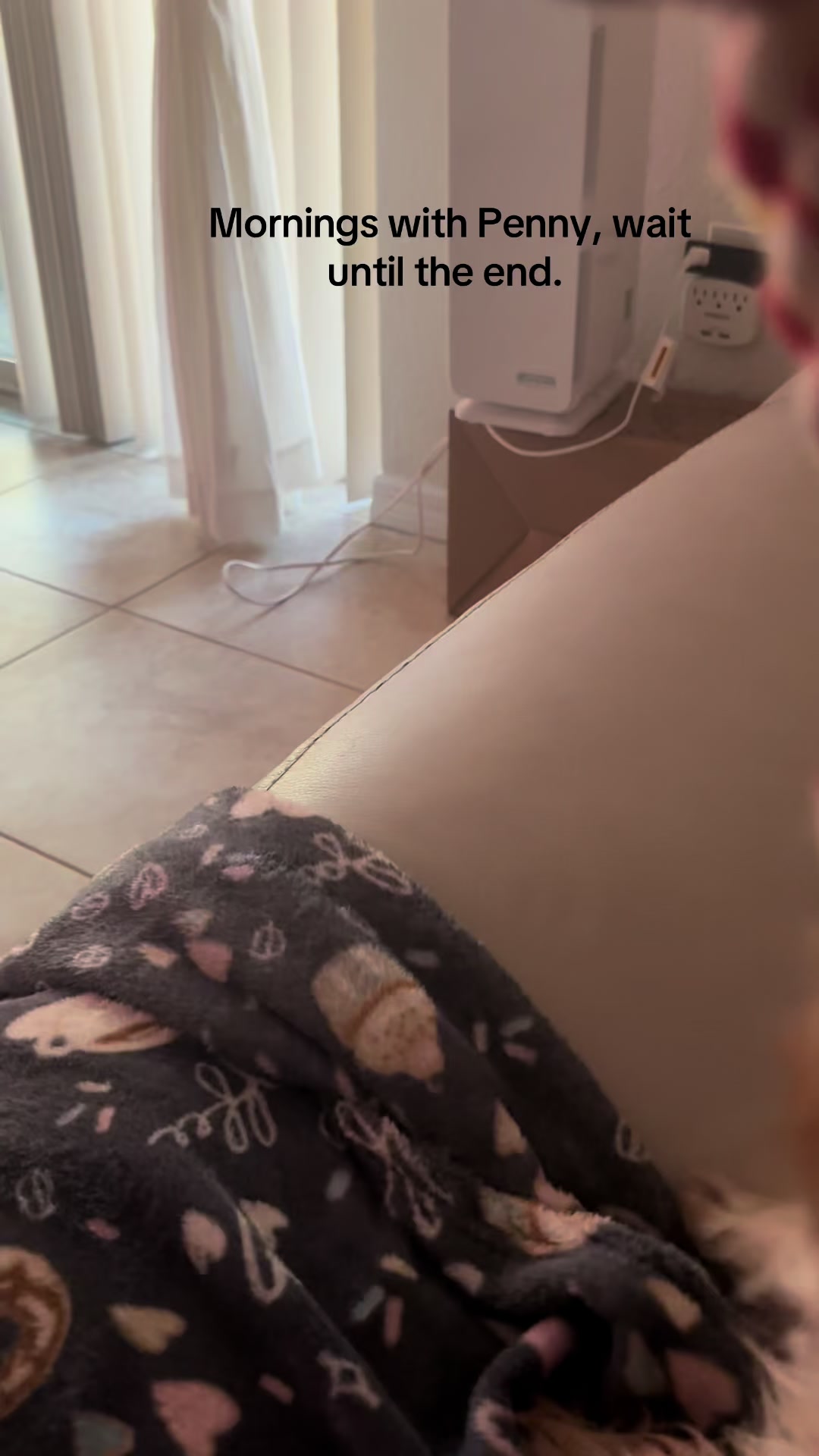 @Penny the Yorkie