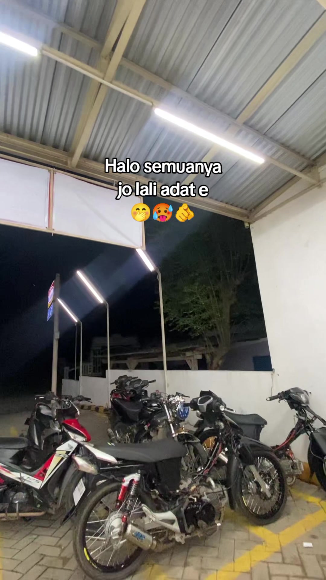 @stecu🔥