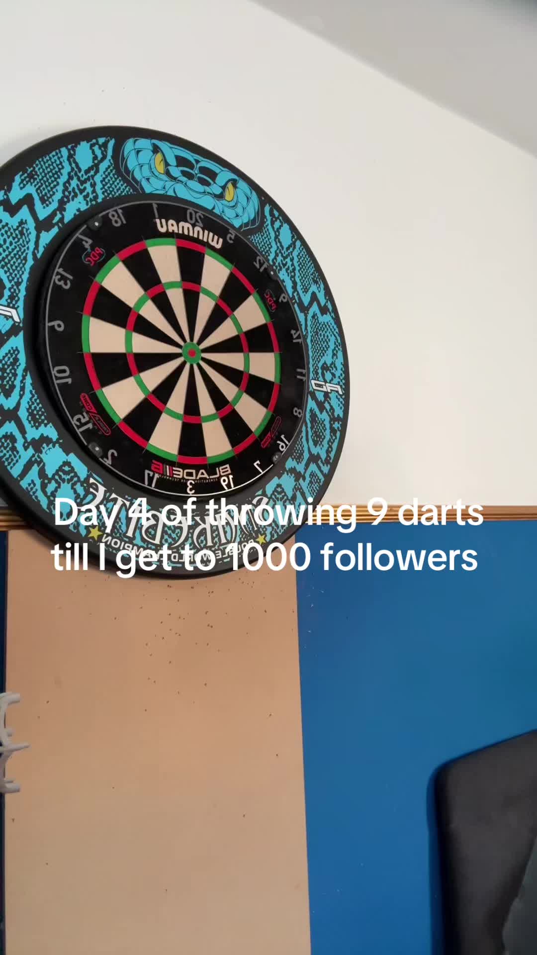 @ryan_darts2009