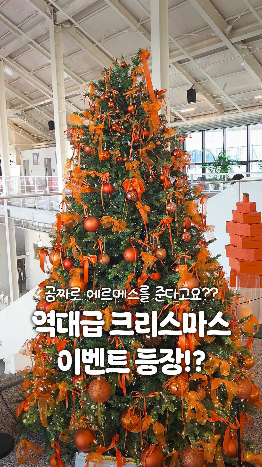 @일산갈고양