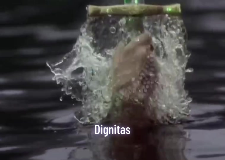 @Dignitas