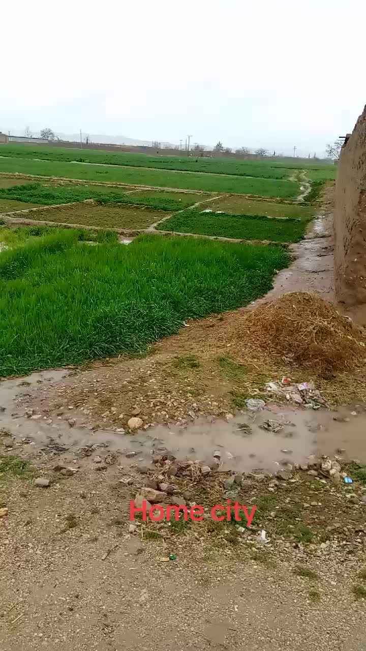 @zaib reki
