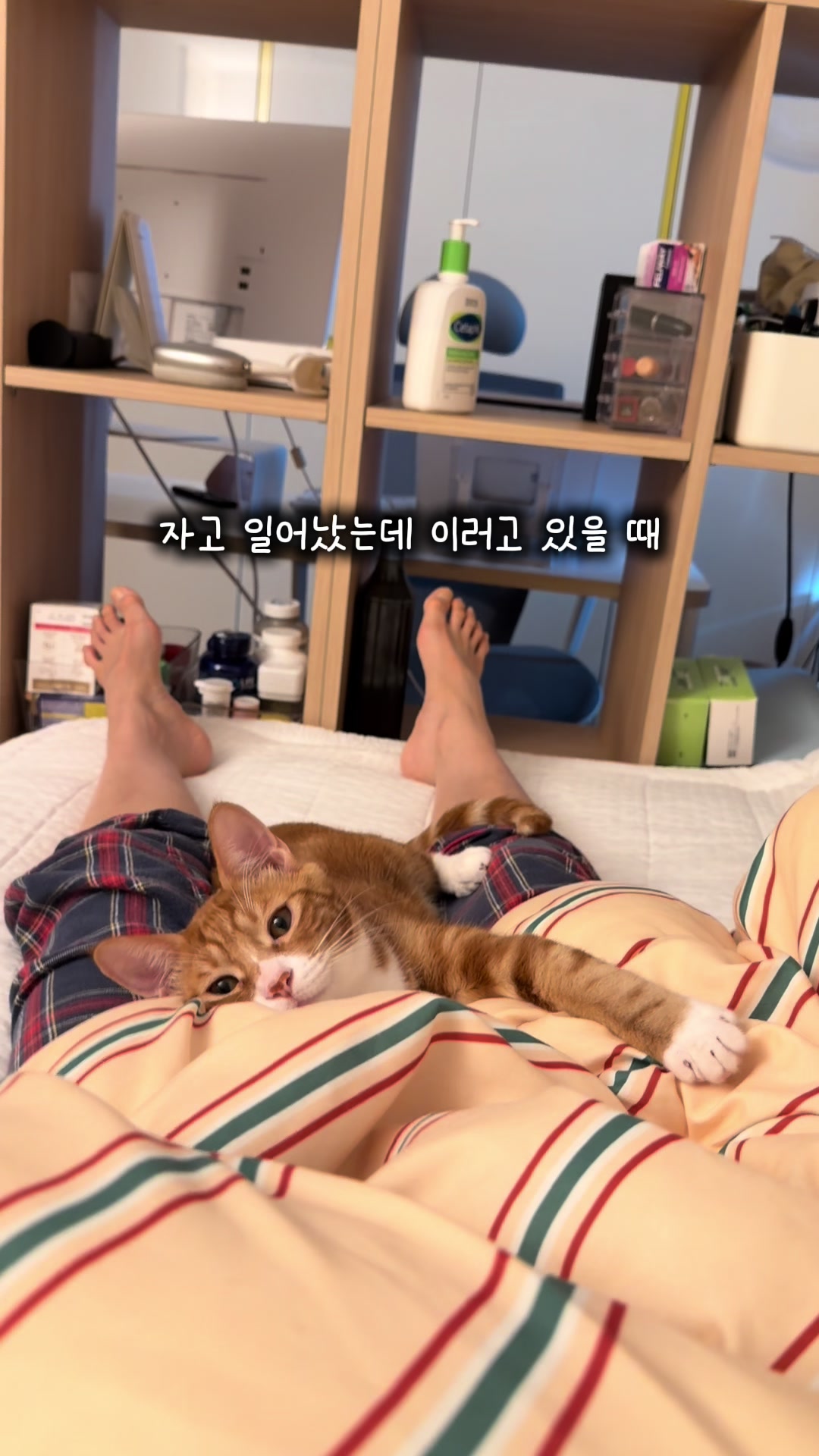 @도취