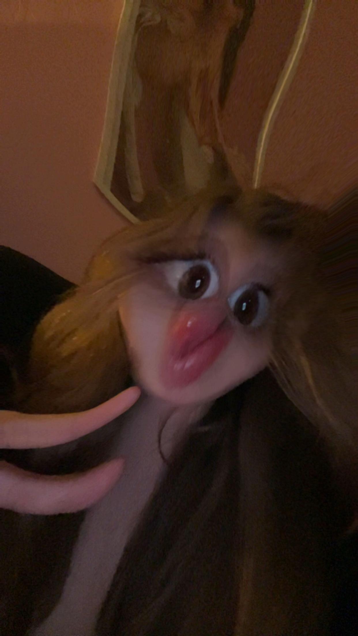 @2011