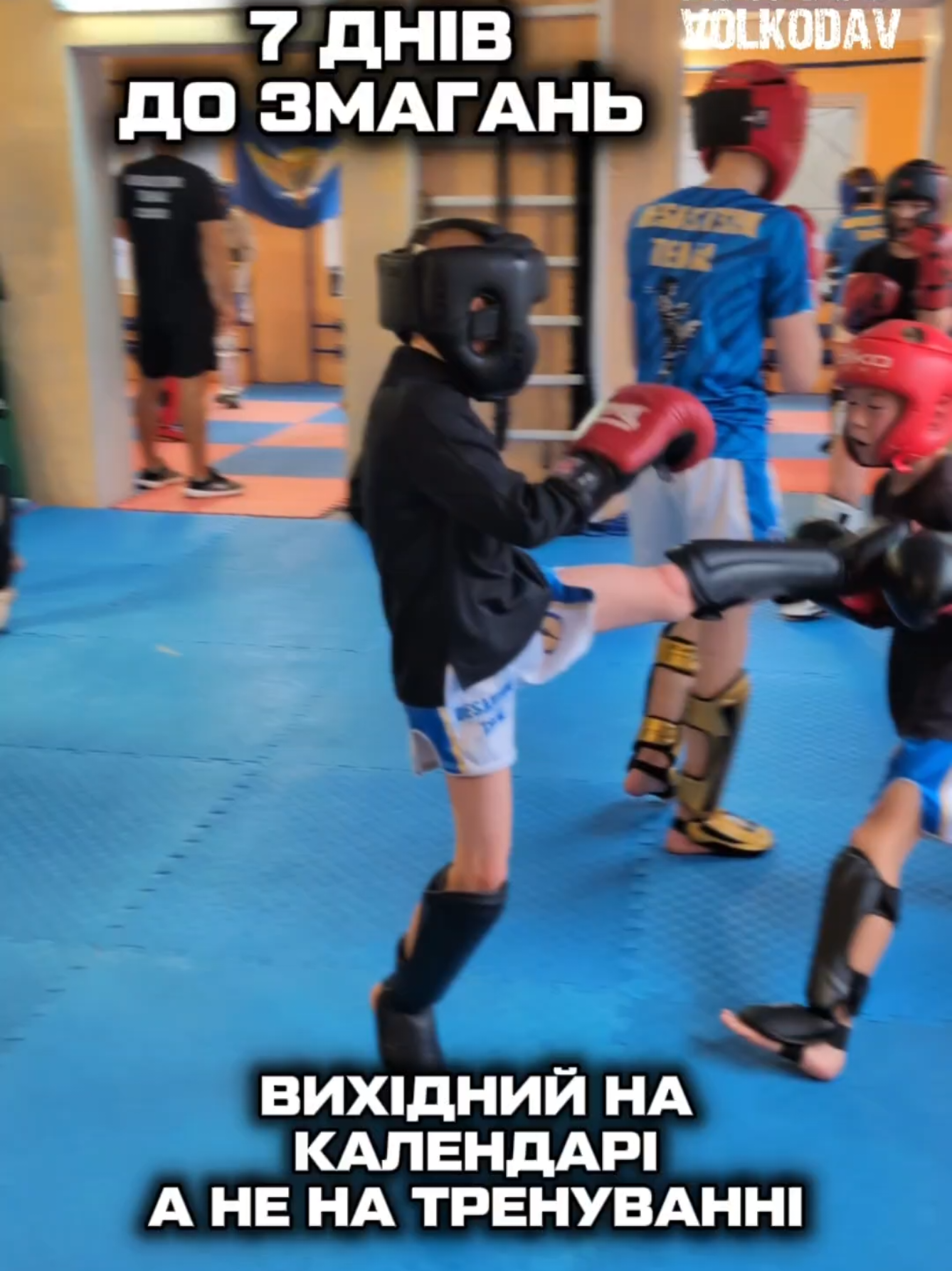 @Александр Волкодав