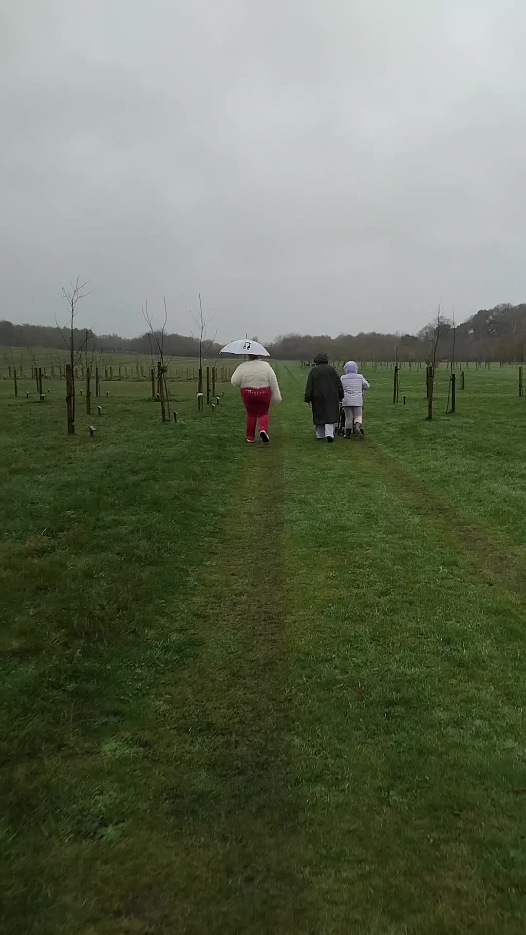 @mrhyperviper