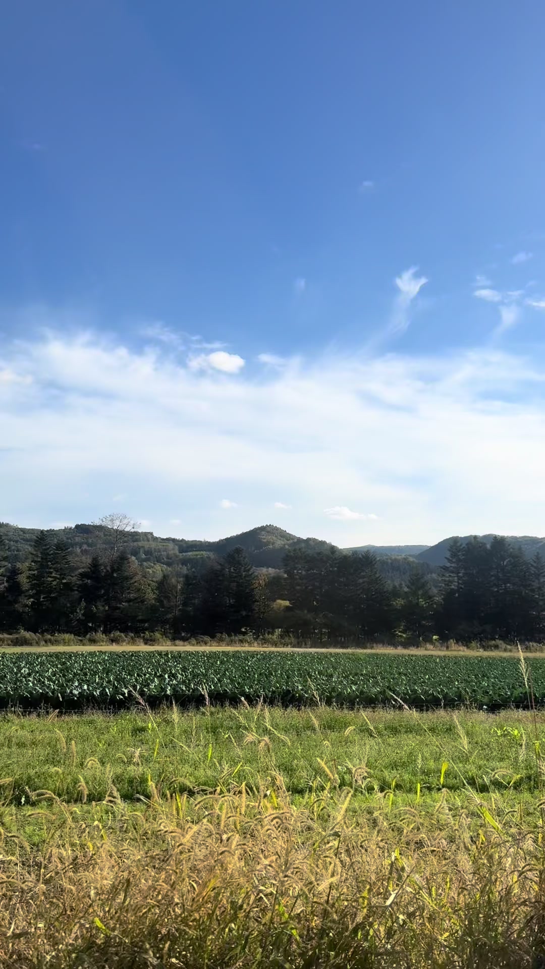 @のりぃ〜