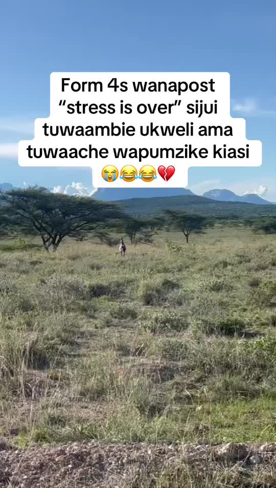 @ONLY IN KENYA 🇰🇪🥂
