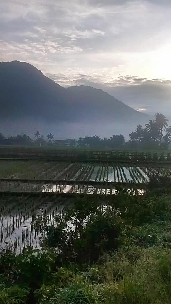 @vieagnur