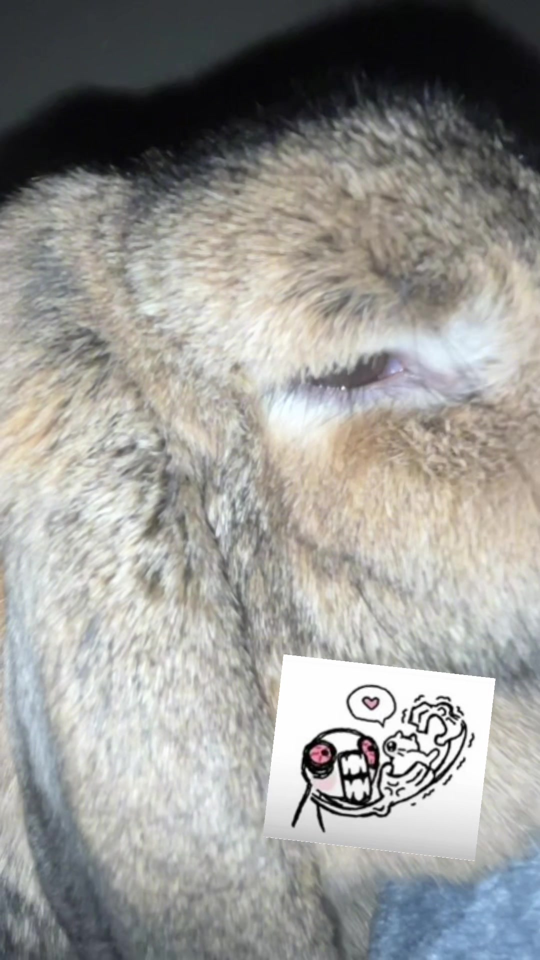 @Fadedbunny69